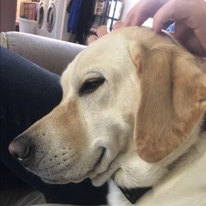 Meet your Posher, Evan